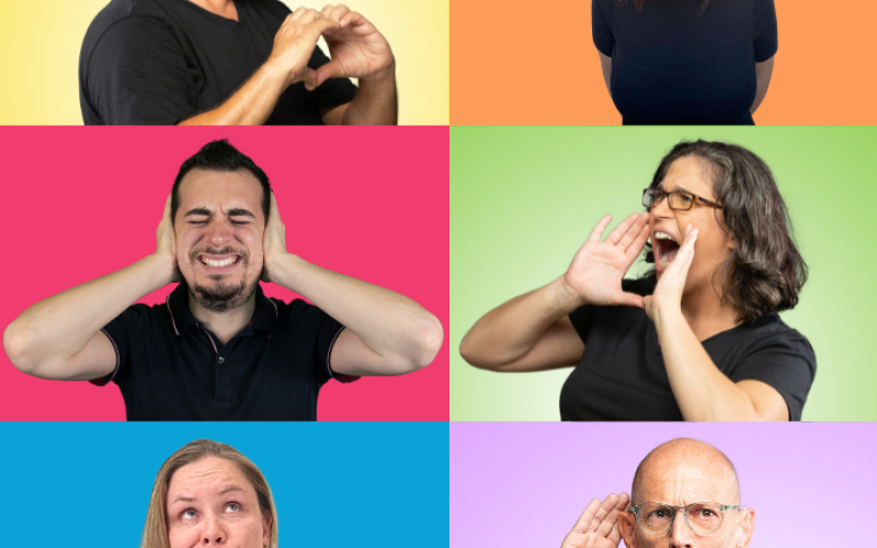 שיח חירשים עם לוליטה איכותי (1)